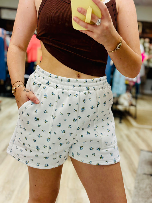 Ivory/Blue Floral Knit Shorts